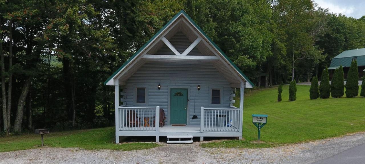 The Cabins At Pine Haven - Beckley Beaver Dış mekan fotoğraf