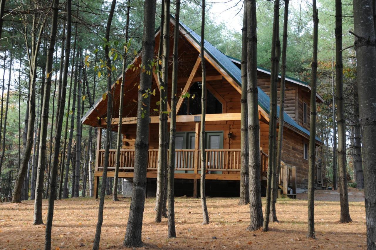 The Cabins At Pine Haven - Beckley Beaver Dış mekan fotoğraf