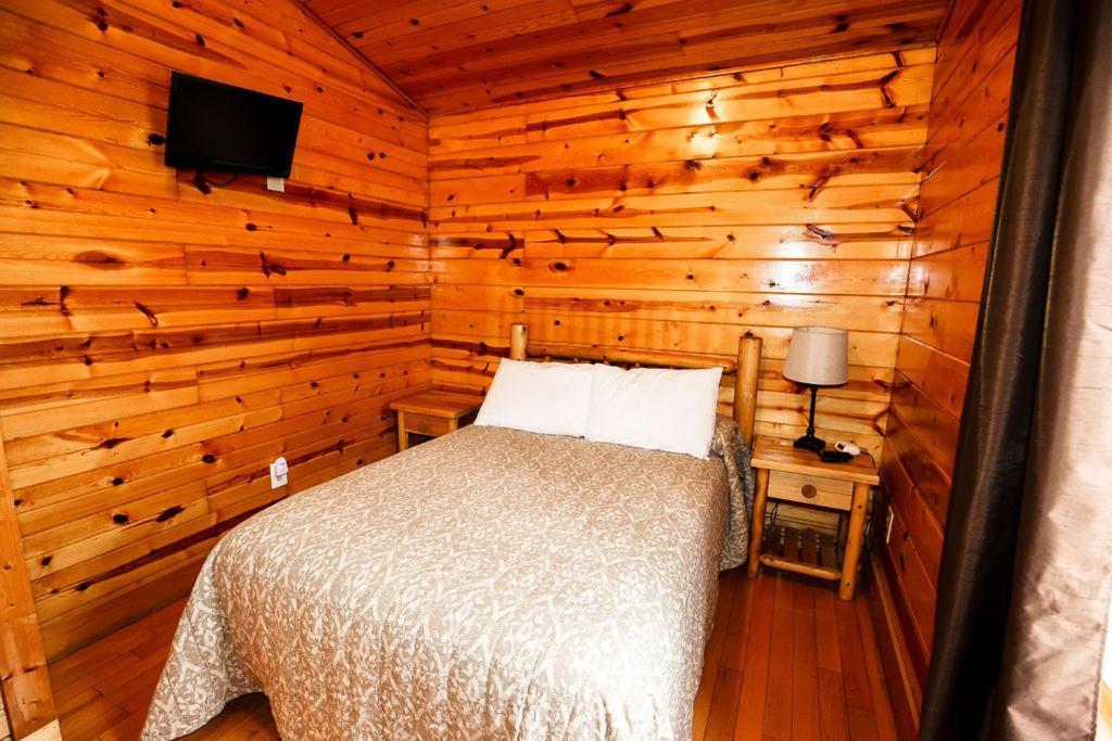The Cabins At Pine Haven - Beckley Beaver Dış mekan fotoğraf